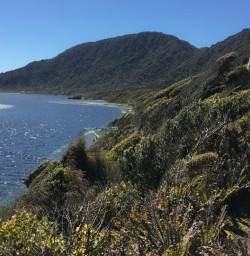 Walking the Martins Bay, Fiordland