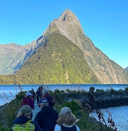 milford sound GE19JAn26