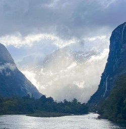 milford sound GW04NOV25