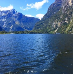 milford sound