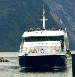 milford sound cruise GE24NOV25