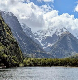 milford sound landscape MP03NOV25