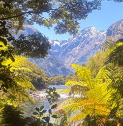 milford track GW27DEC25