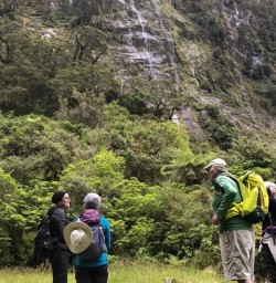 Falls at Milford Track, Fiordland National Park Southland New Zealand