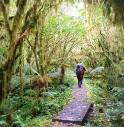 miford track moss