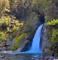 milford track waterfall GW27DEC25