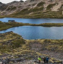 Morning Walk at Nelson Lakes National Park, Tasman New Zealand