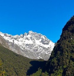 mountain views in milford sound GW27DEC25