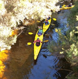 okarito kayaking