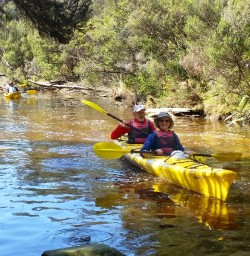 kayaking okarito forest channels