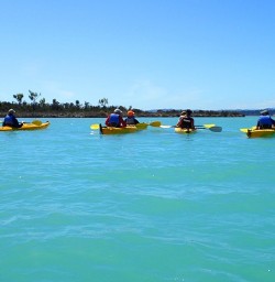 guided kayaking at okarito lagoon new zealand