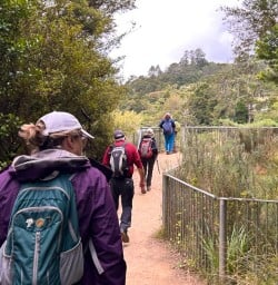 our guests walk Karangahake Windows Walk SN10MAr26