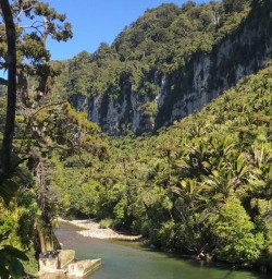 Pororari River at Paparoa National Park, West Coast New Zealand