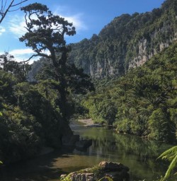Porarari River at Paparoa National Park, West Coast New Zealand