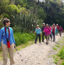 hiking group in punakaiki