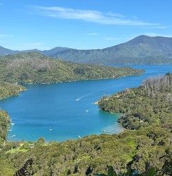 queen charlotte sound MP24NOV25