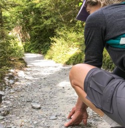Robin Bird at Routeburn Track, Otago New Zealand