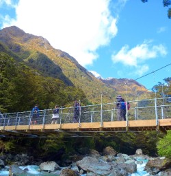 routeburn track bridge