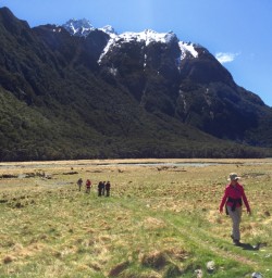 Hiker on the Routeburn Track