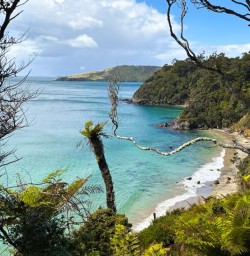 stewart island GW17FEB26