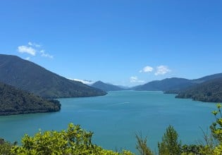 Stunning views in Pelorus Sound.
