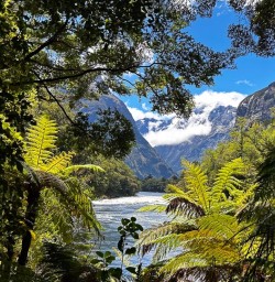 stunning views of the milford track GW17NOV25