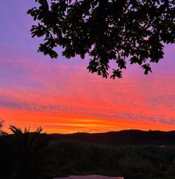 sunset Kohutapu Lodge SN28OCT25