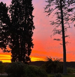 sunset at Kohutapu Lodge SN28OCt25