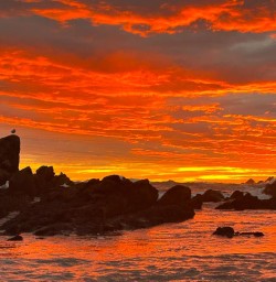 sunset west coast MP09FEB26