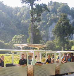 Group in the train at Nile River, West Coast New Zealand