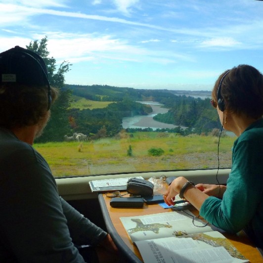 views from the tranzalpine train