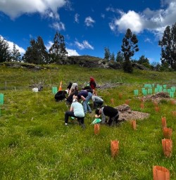 tree planting in arrowtown with our guests GE24NOV25