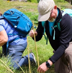 tree planting with guests in Arrowtown GE10NOV25