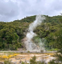 waimangu volcanic valley Sn03FEb26
