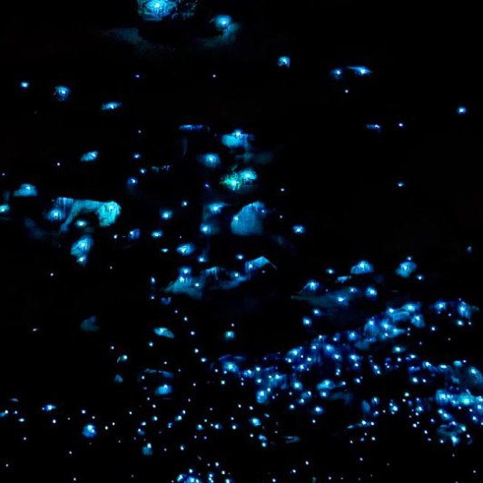 waitomo glowworm caves GN09FEB26
