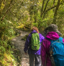 Walking the Hollyford Track, Fiordland National Park Southland New Zealand