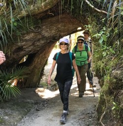 Walking the Paparoa National Park, West Coast New Zealand
