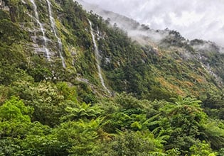 Waterfalls Fiordland