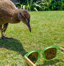 weka west coast