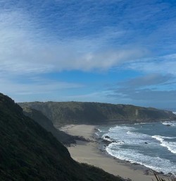  west coast beach RM03NOV25