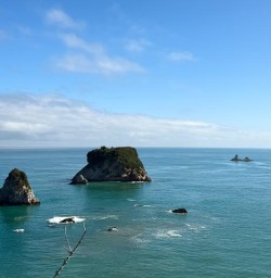 west coast south island GE02FEB26