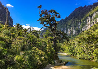 world heritage paparoa national park
