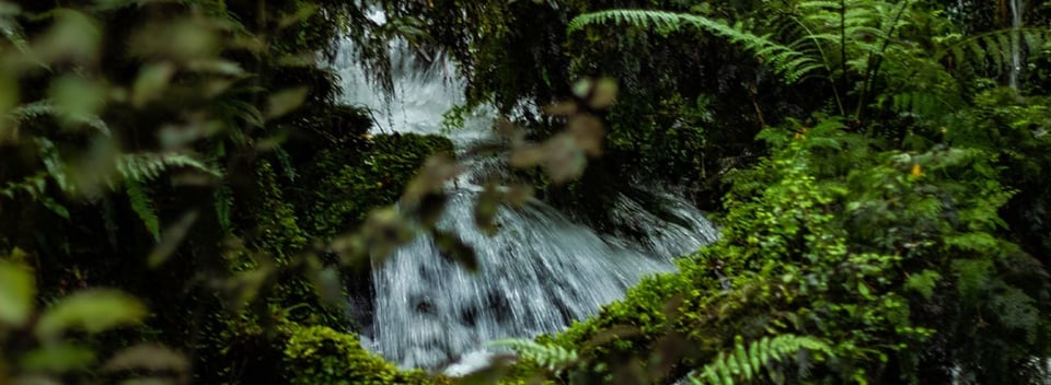 Explore and Discover Nature: When it's Raining - Kiwi Book Corner