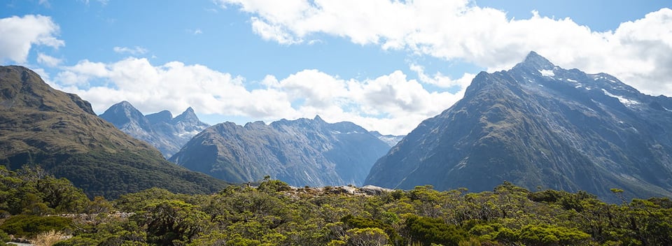 New Zealand National Parks  A Complete Guide - New Zealand Trails