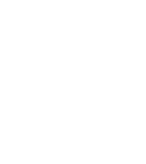 NEW ZEALAND TRAILS